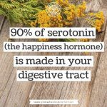 Happiness Diet Hack 15 12705341 1004600572946688 272741874981052067 n 300x300 1