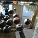 Self Help Doesn't 17 13700177 10157409608780001 6617930591221272810 n