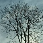 15492517 10158204539200001 2375889974653989289 n